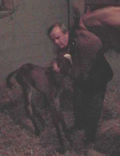 Clicca per ingrandire