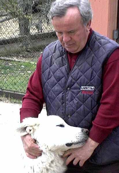 Clicca per ingrandire