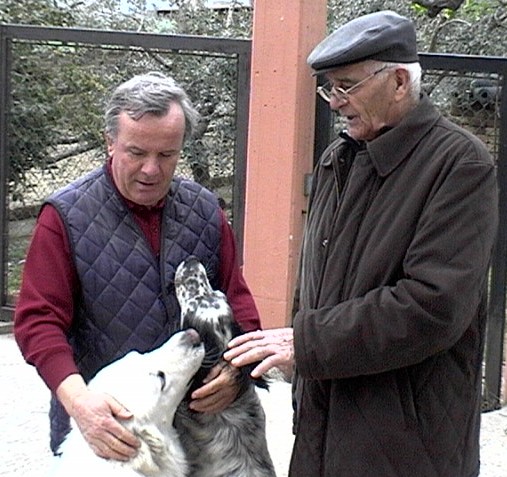 Clicca per ingrandire