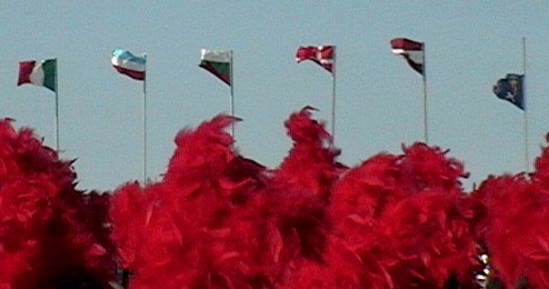 Clicca per ingrandire