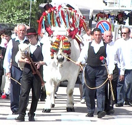 Clicca per ingrandire