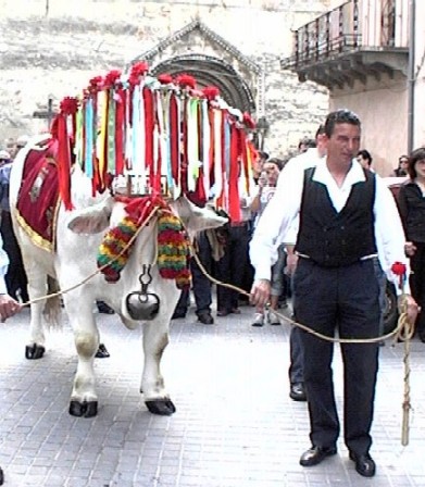 Clicca per ingrandire