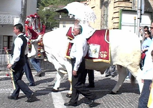 Clicca per ingrandire