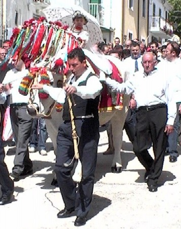 Clicca per ingrandire