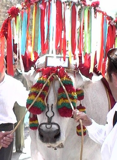 Clicca per ingrandire