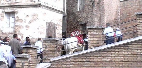 Clicca per ingrandire