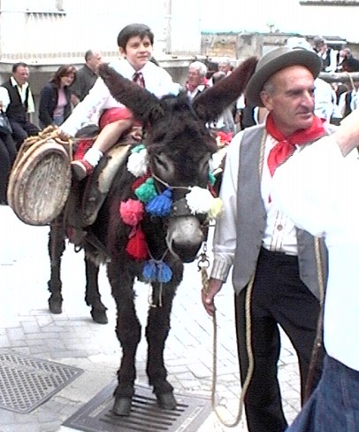 Clicca per ingrandire