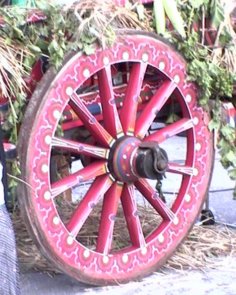 Clicca per ingrandire