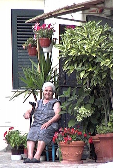 Clicca per ingrandire