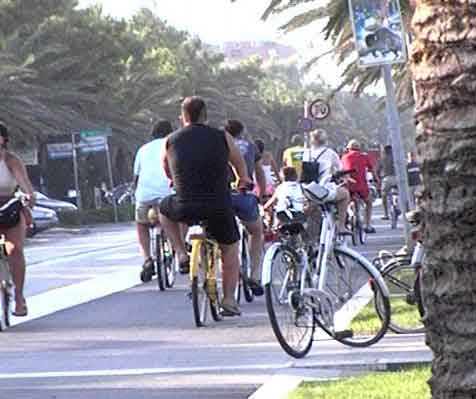 Clicca per ingrandire