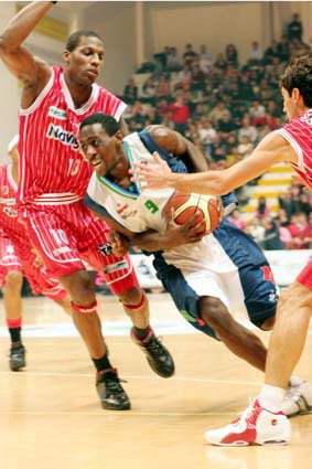 Clicca per ingrandire