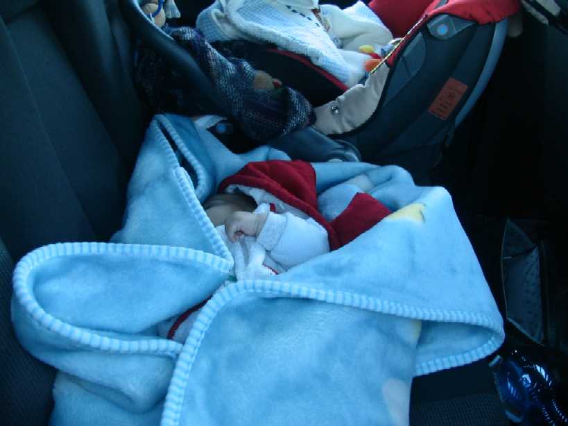 Clicca per ingrandire