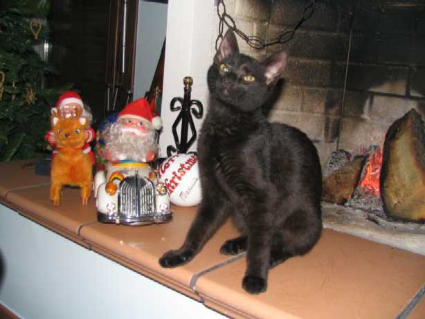 Clicca per ingrandire