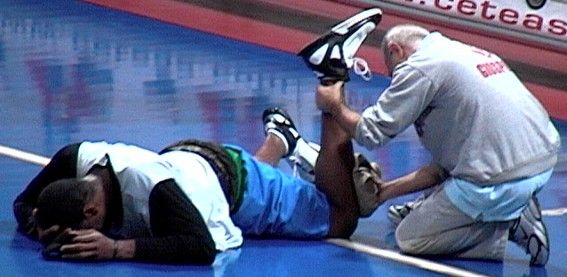 Clicca per ingrandire