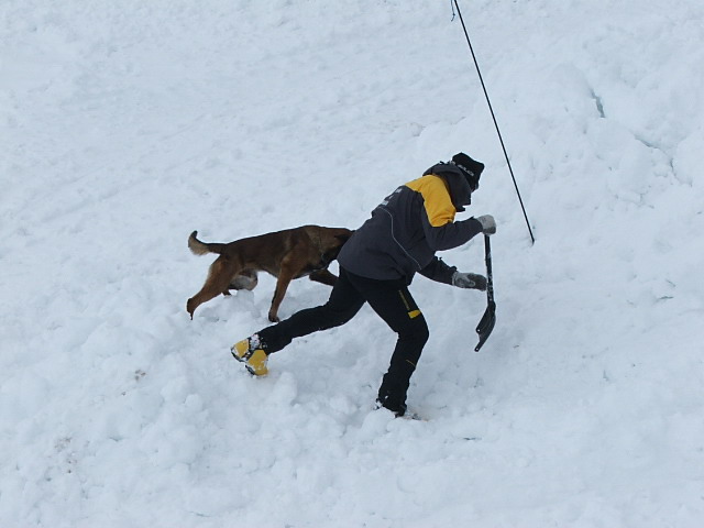 Clicca per ingrandire