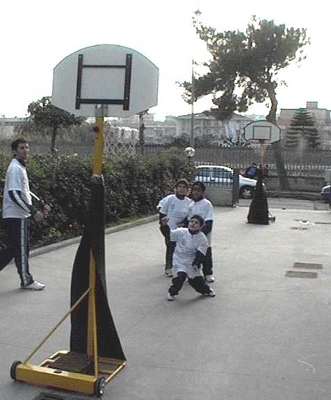 Clicca per ingrandire