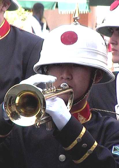 Clicca per ingrandire