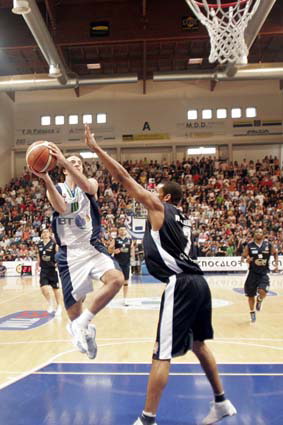 Clicca per ingrandire