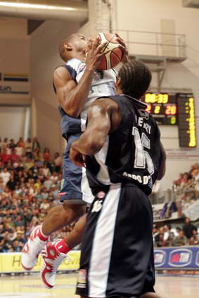 Clicca per ingrandire