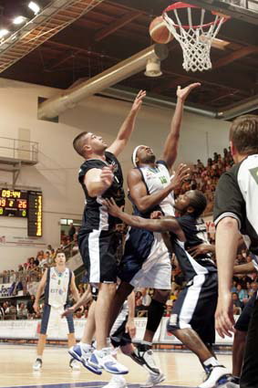 Clicca per ingrandire