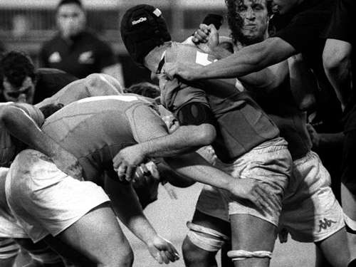 Clicca per ingrandire