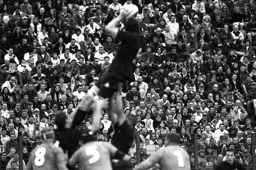 Clicca per ingrandire