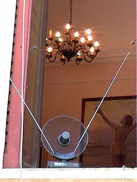 Clicca per ingrandire