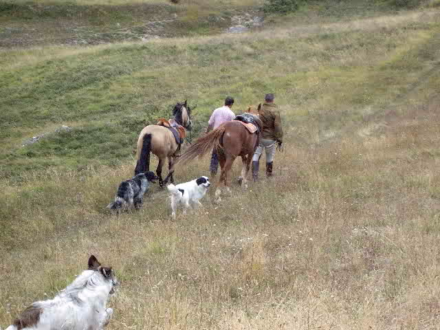 Clicca per ingrandire