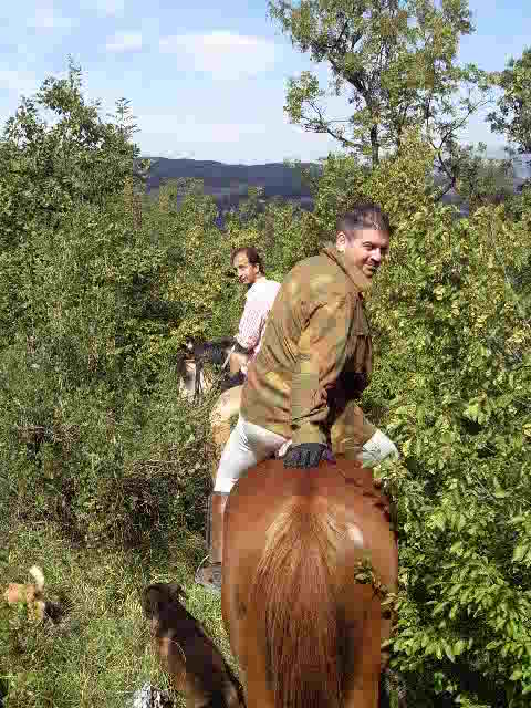 Clicca per ingrandire