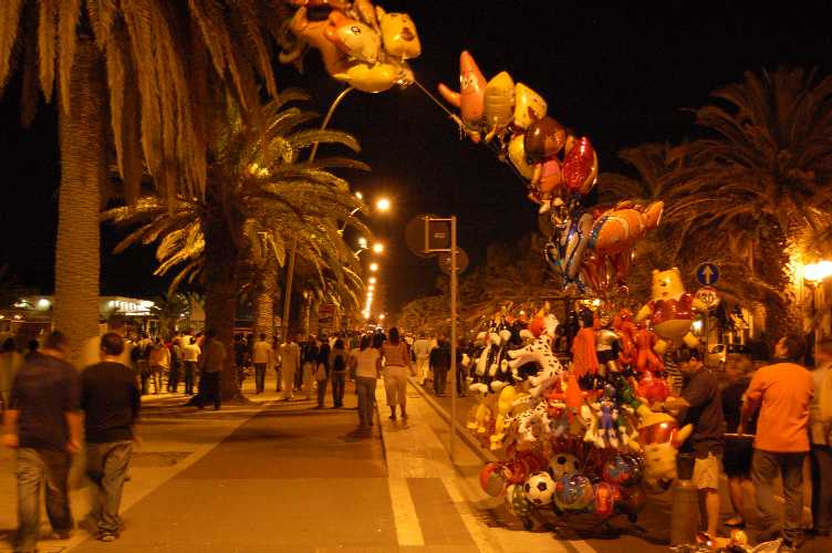 Clicca per ingrandire