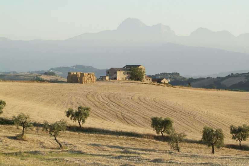 Clicca per ingrandire