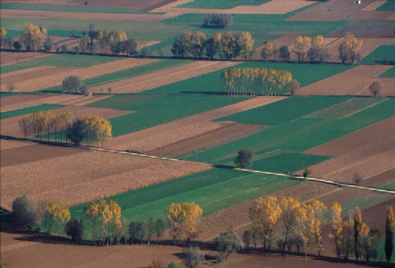 Clicca per ingrandire