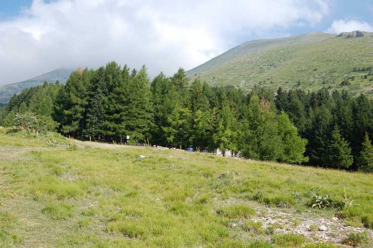 Clicca per ingrandire