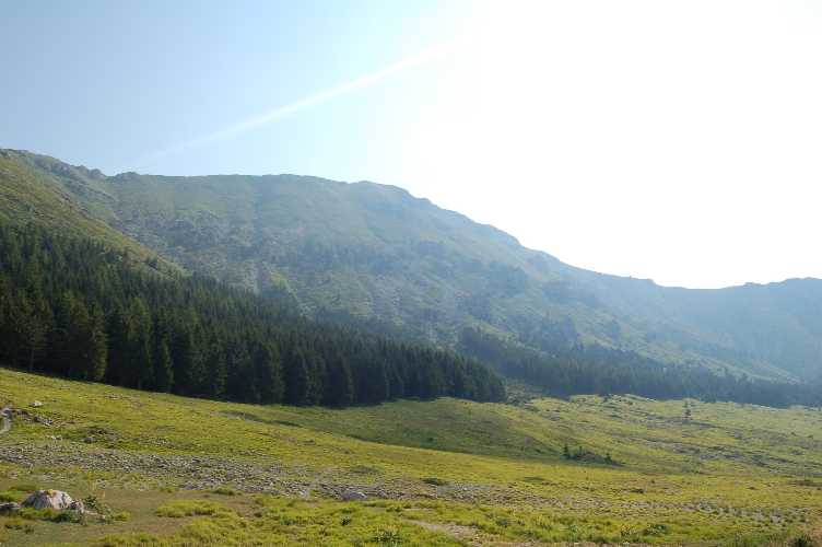 Clicca per ingrandire