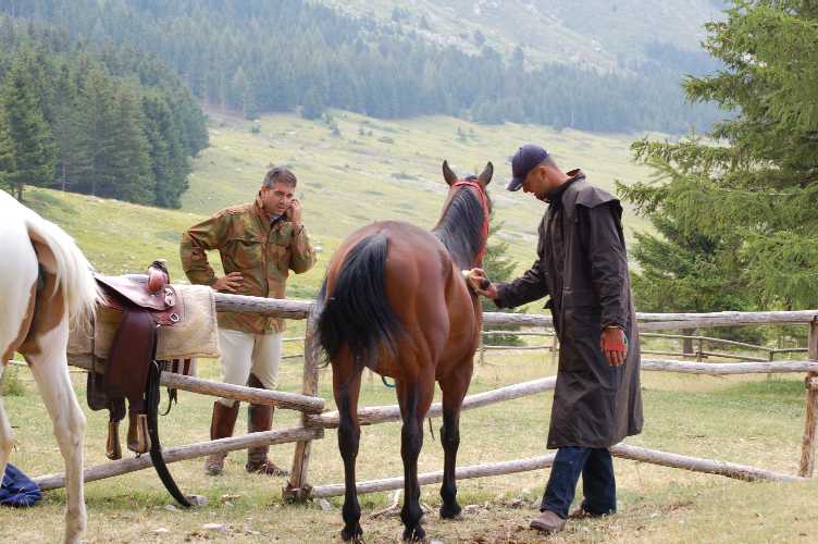 Clicca per ingrandire