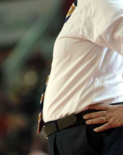 Clicca per ingrandire
