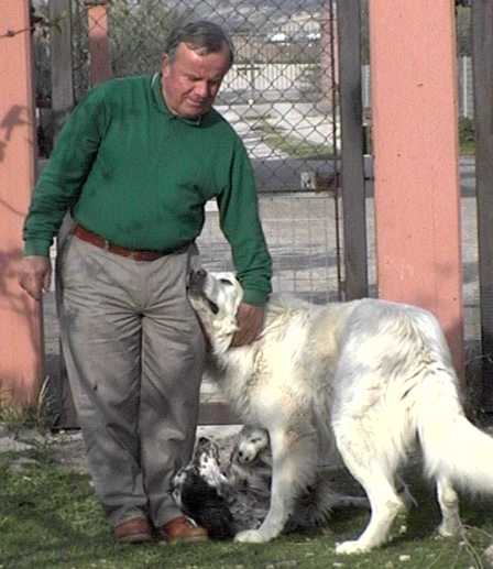 Clicca per ingrandire