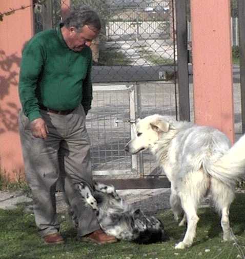Clicca per ingrandire