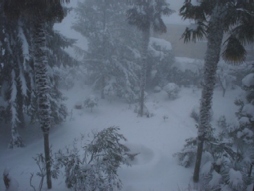 Clicca per ingrandire