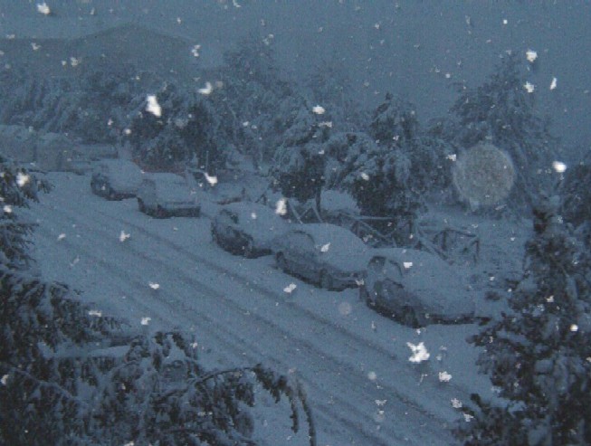 Clicca per ingrandire