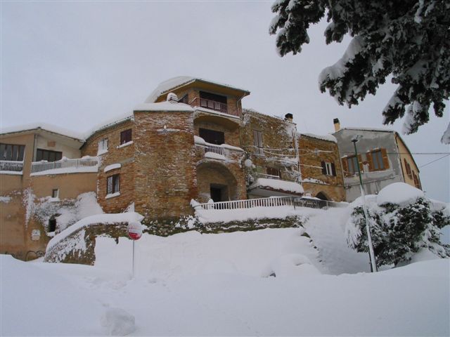 Clicca per ingrandire