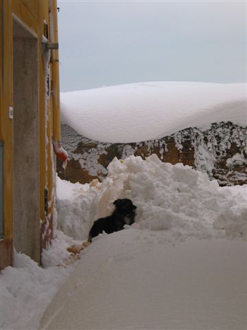 Clicca per ingrandire