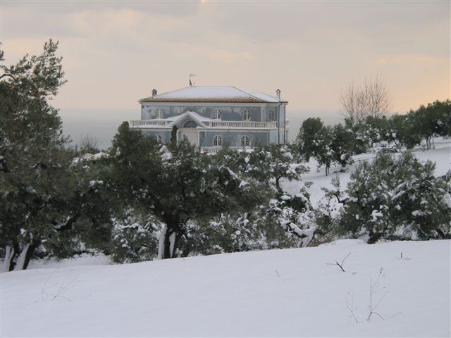 Clicca per ingrandire