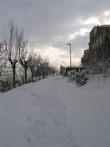 Clicca per ingrandire