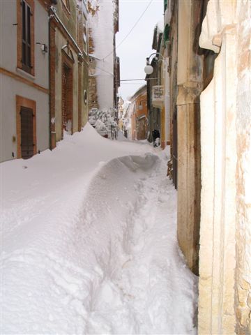 Clicca per ingrandire