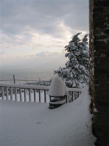 Clicca per ingrandire