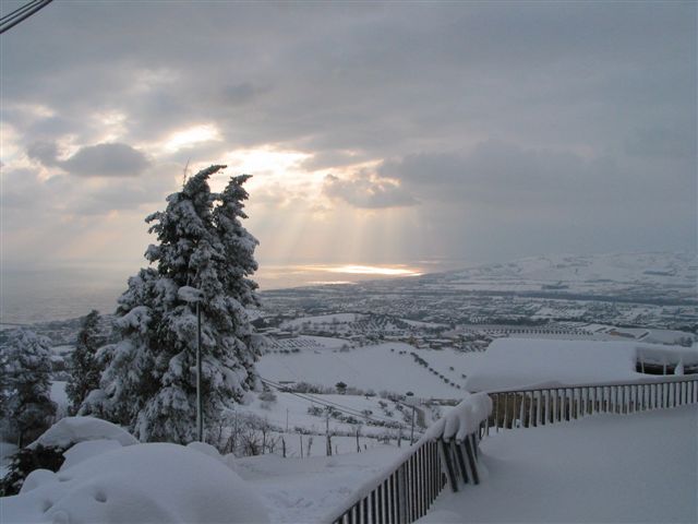 Clicca per ingrandire