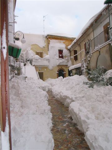 Clicca per ingrandire