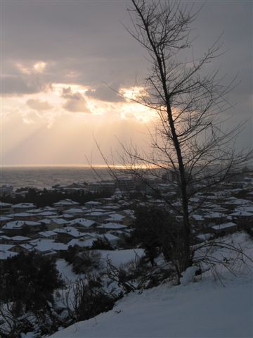 Clicca per ingrandire