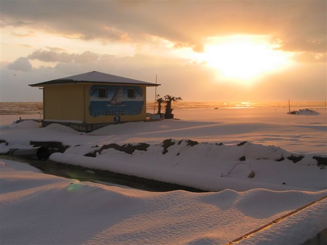 Clicca per ingrandire